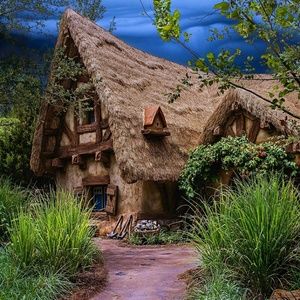 Meet your Posher, Tshombi